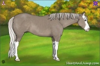 Horse Color:Silver Smoky Grullo Splash 