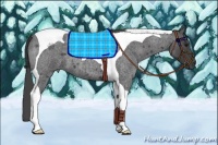 Horse Color:Smoky Blue Roan Tobiano 