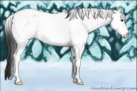 Horse Color:White Spotted Smoky Grullo Roan Tobiano 
