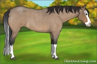 Horse Color:Bay Roan Dun Splash