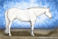 Horse Color:Silver Perlino Dun Tobiano 