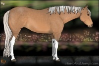 Horse Color:Silver Buckskin Tobiano