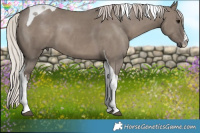 Horse Color:White Spotted Silver Grullo Tobiano 
