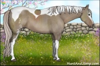 Horse Color:White Spotted Silver Grullo Tobiano 