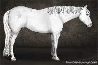 Horse Color:White Spotted Silver Classic Champagne Dun Splash Varnish 