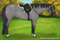 Horse Color:Grullo Roan 