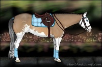 Horse Color:Bay Roan Dun Sabino Splash