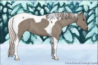 Horse Color:Silver Grullo Tobiano 