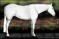 Horse Color:Gray Perlino Roan Appaloosa