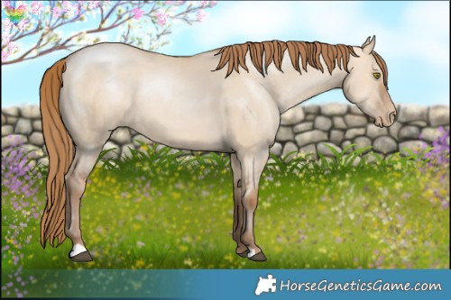 Horse Color:Brown Pearl Dun