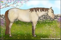 Horse Color:Brown Pearl Dun 