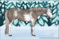 Horse Color:White Spotted Silver Black 