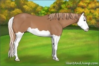 Horse Color:Chestnut Splash 