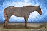 Horse Color:Liver Red Roan