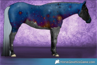 Horse Color:ERROR: UNKNOWN ANOMALY
