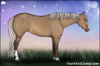 Horse Color:Silver Bay Dun Sabino