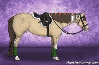 Horse Color:White Spotted Amber Champagne Dun