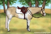 Horse Color:White Spotted Silver Bay Dun Sabino 