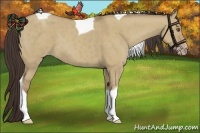 Horse Color:Classic Champagne Dun Tobiano
