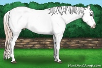 Horse Color:Red Dun Splash Frame Blanket 