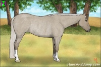 Horse Color:Silver Smoky Grullo Roan Rabicano 