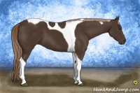 Horse Color:Liver Chestnut Tobiano 