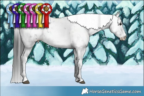 Horse Color:Black Sabino  Brindle