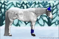 Horse Color:Black Sabino Brindle