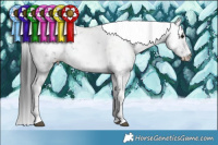 Horse Color:Black Sabino Brindle