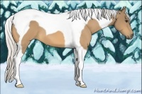 Horse Color:Silver Buckskin Tobiano 