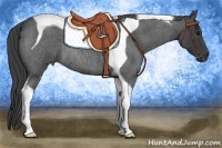 Horse Color:Smoky Blue Roan Tobiano Rabicano