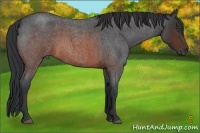 Horse Color:Brown Roan Sabino Frame