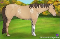 Horse Color:White Spotted Amber Champagne 