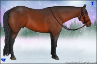 Horse Color:Bay Sabino 
