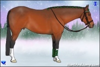 Horse Color:Brown 