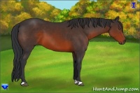 Horse Color:Brown 