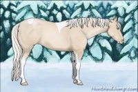 Horse Color:Silver Smoky Black Pearl Tobiano 