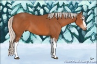 Horse Color:White Spotted Silver Bay Tobiano 