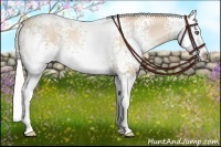 Horse Color:White Spotted Silver Smoky Black Pearl Splash 