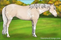 Horse Color:White Spotted Silver Buckskin Pearl 