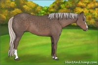 Horse Color:Silver Black Sabino