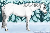 Horse Color:White Spotted Black Splash Tobiano Frame