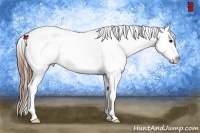 Horse Color:Grullo Near Fewspot 