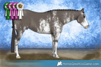 Horse Color:White Spotted Smoky Grullo