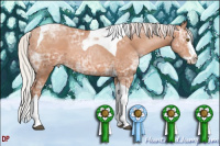 Horse Color:Silver Brown Ice Pearl Sabino Splash Tobiano Rabicano