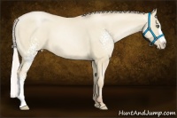 Horse Color:White Spotted Silver Smoky Grullo Pearl Splash