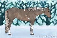 Horse Color:Silver Black Tobiano 
