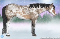 Horse Color:Brown Ice Dun Splash Frame