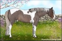 Horse Color:Silver Brown Roan Splash Tobiano Rabicano
