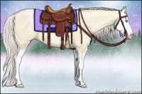 Horse Color:Palomino Pearl Dun Splash 